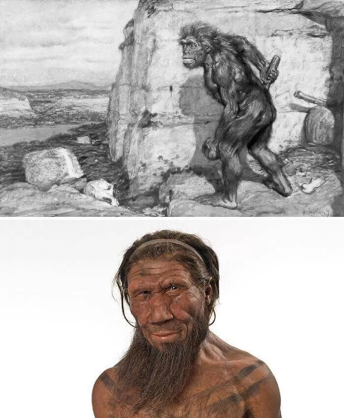 A quoi ressemblait la nature il y a de nombreuses annees - #9 