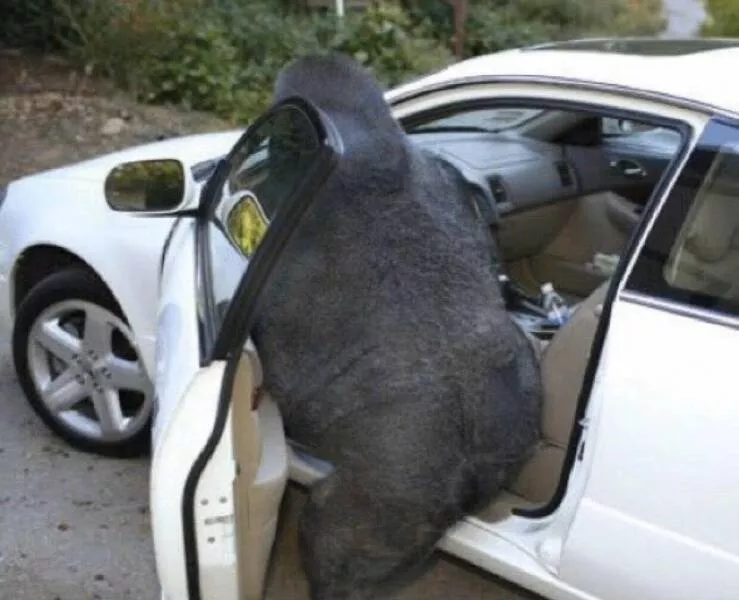Picdump 683 - #15 