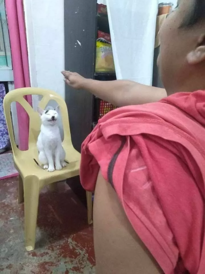 Picdump 683 - #17 