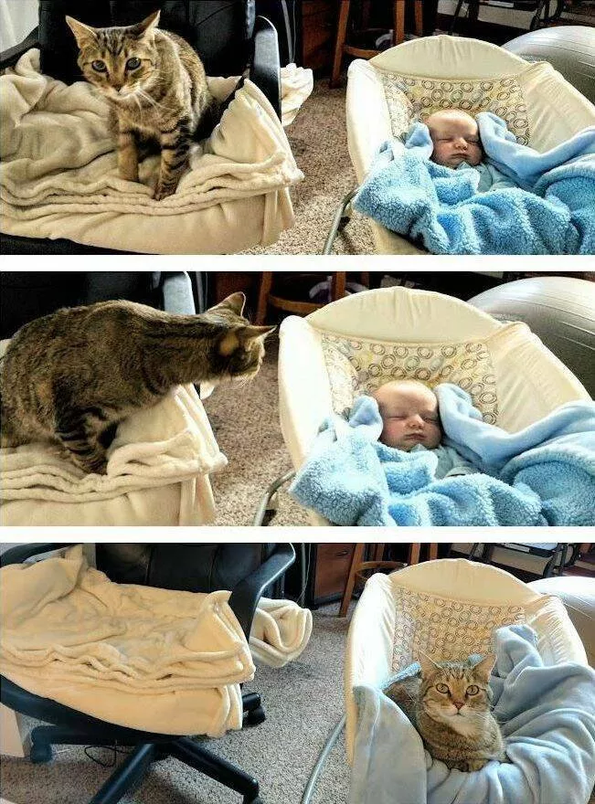 Picdump 683 - #5 