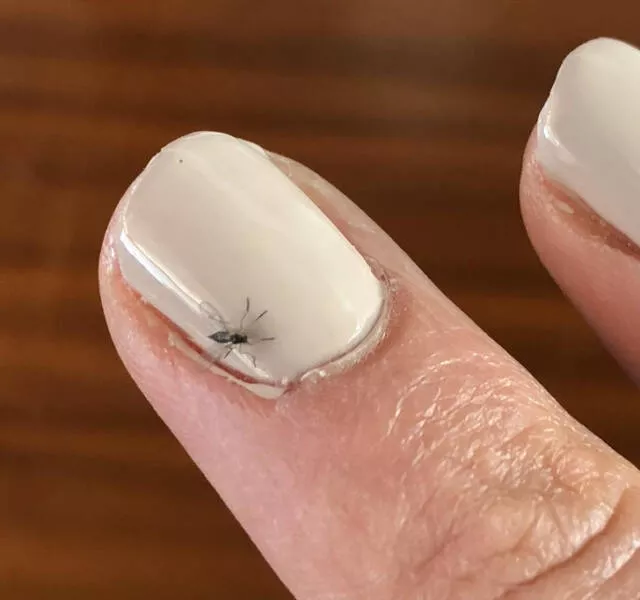When bad luck strikes at the worst time - #21 