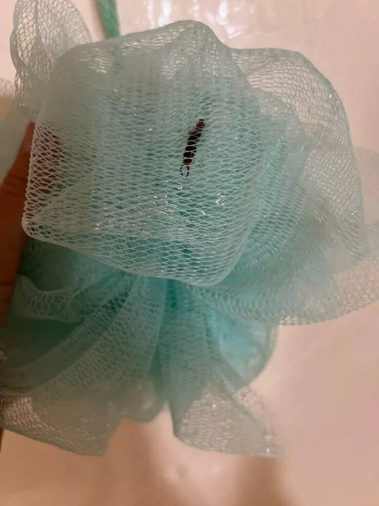 When bad luck strikes at the worst time - #56 