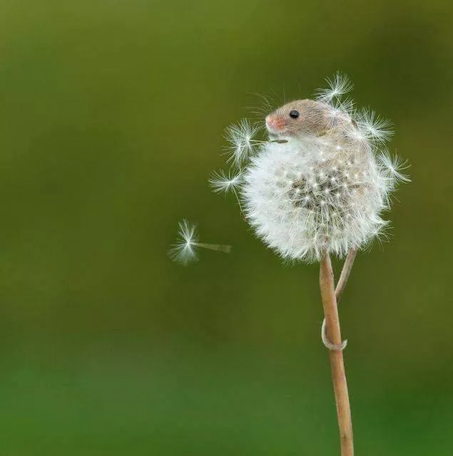 Picdump 684 - #10 