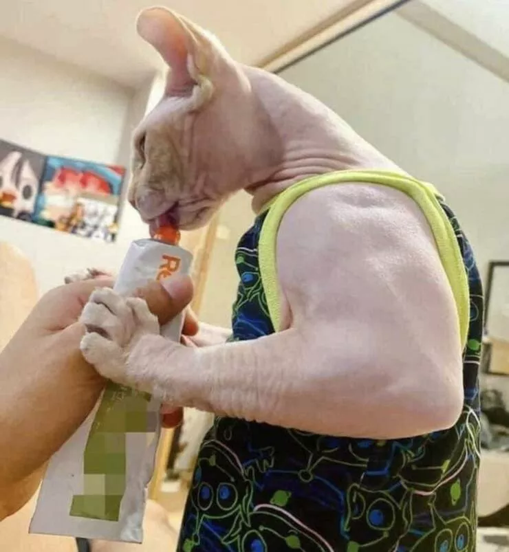 Picdump 684 - #25 