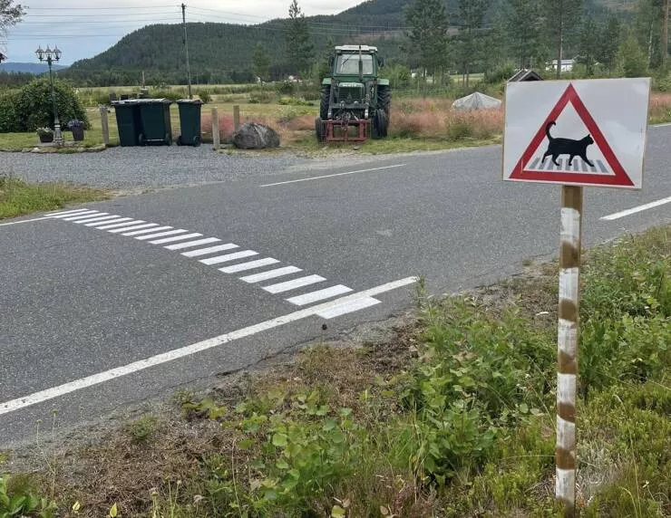 Picdump 684 - #41 