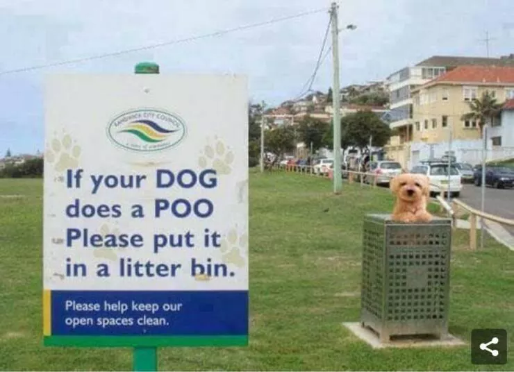 Picdump 685 - #12 