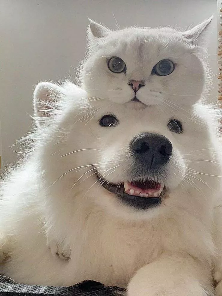 Picdump 685 - #32 