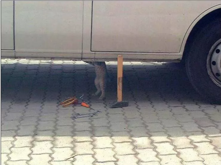 Picdump 685 - #47 