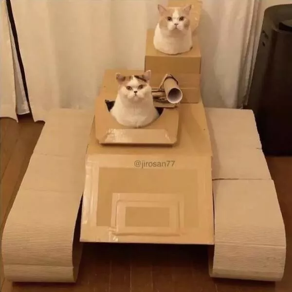 Picdump 685 - #8 