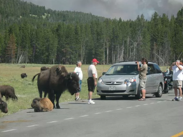 Picdump 100 - #10 