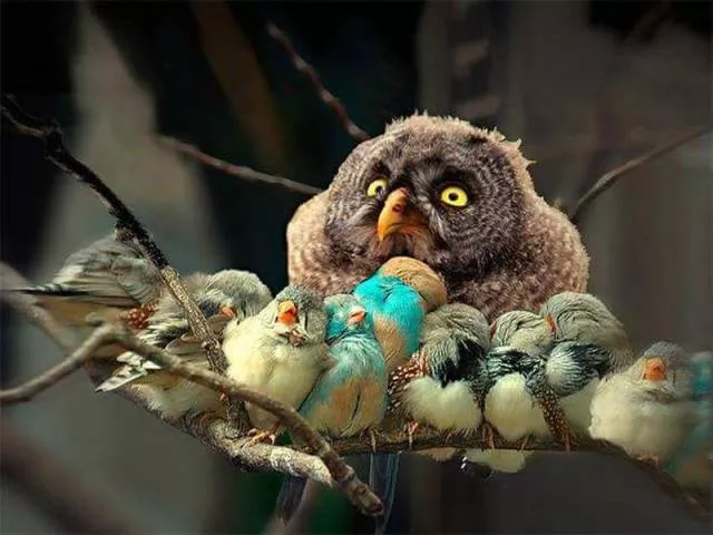 Picdump 100 - #14 
