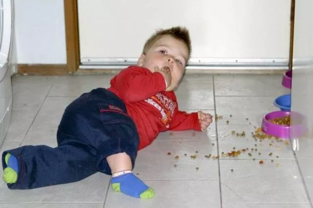 Picdump 100 - #4 