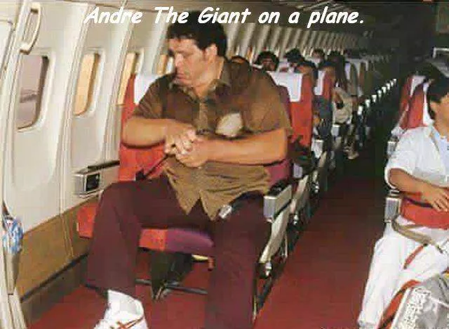 Picdump 100 - #43 