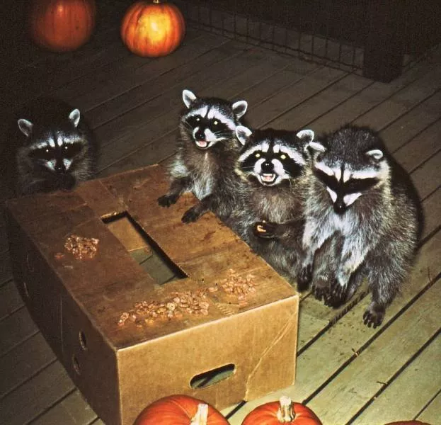 Picdump 100 - #49 