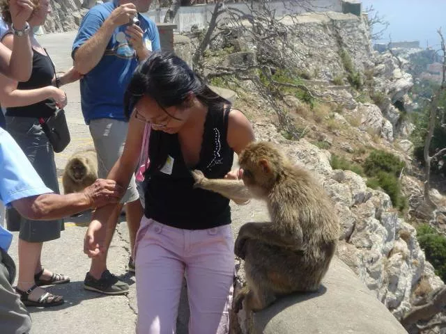 Picdump 100 - #66 Picdump 100 - #66