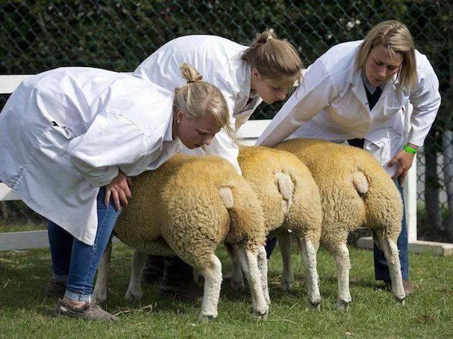 Picdump 100 - #7 