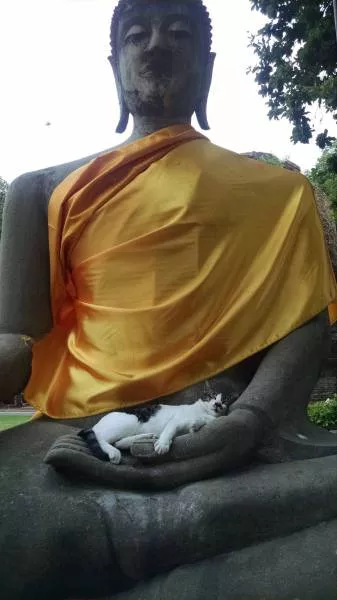 Picdump 100 - #86 