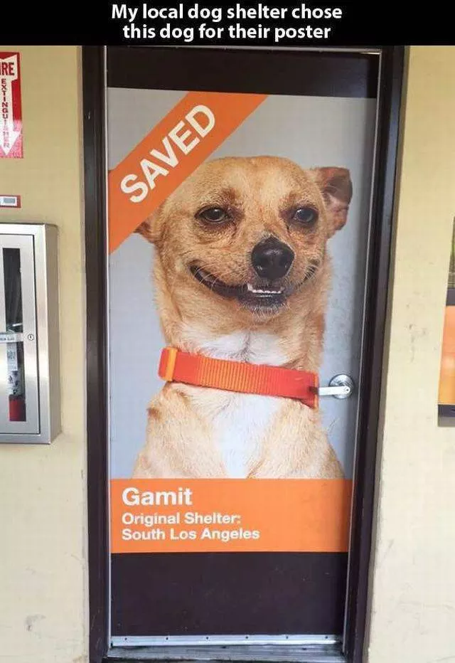 Picdump 100 - #96 