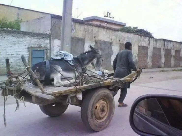 Picdump 686 - #7 