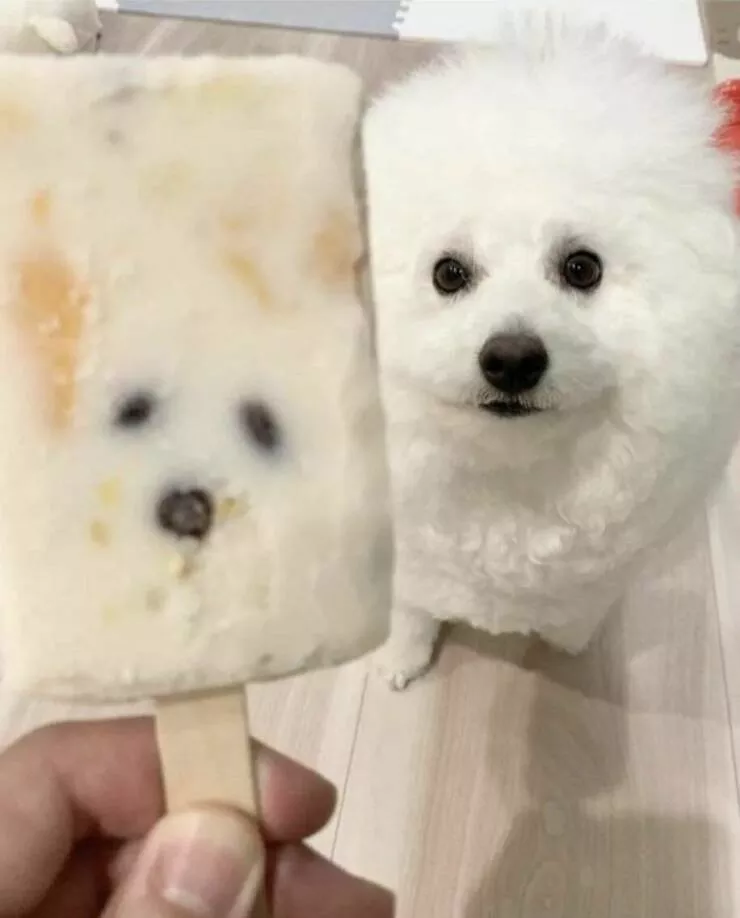 Picdump 687 - #10 