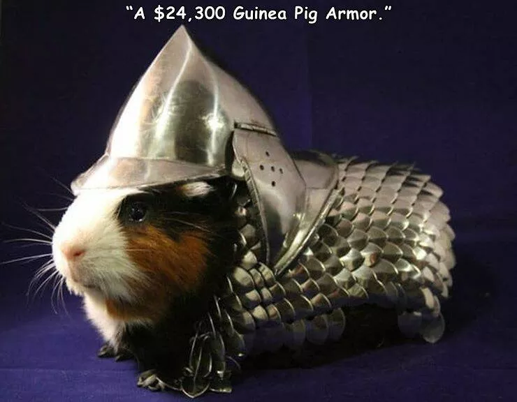 Picdump 687 - #17 