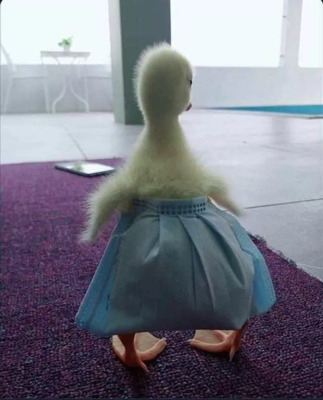 Picdump 687 - #39 