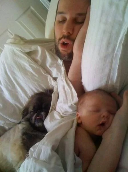 Les plus beaux moments captures en images - #18 