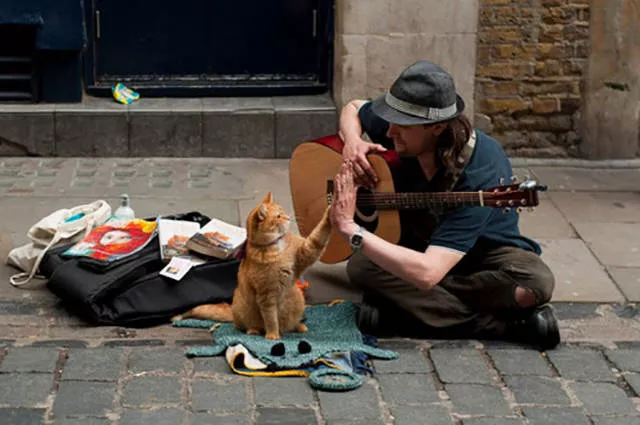 The most beautiful moments captured in pictures - #21 