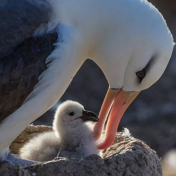 Les plus beaux moments captures en images - #25 