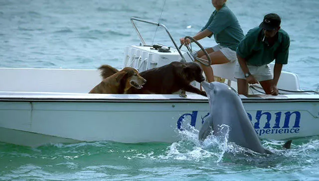 The most beautiful moments captured in pictures - #29 
