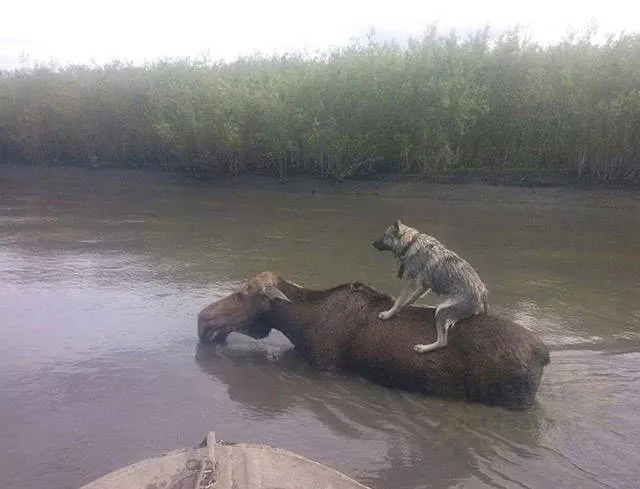 The most beautiful moments captured in pictures - #33 