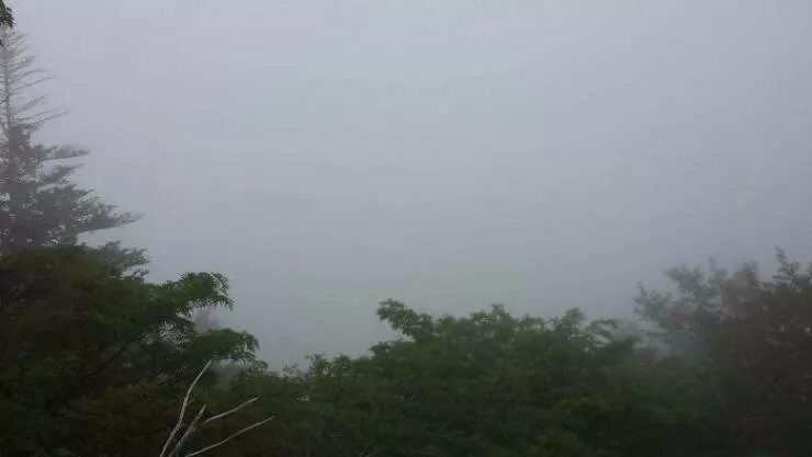 Our poor earth - #8 