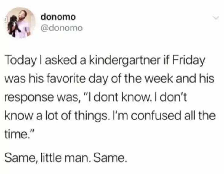 Sarcasm  - #24 