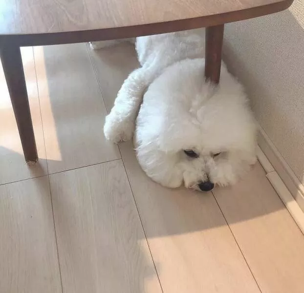 Picdump 689 - #4 
