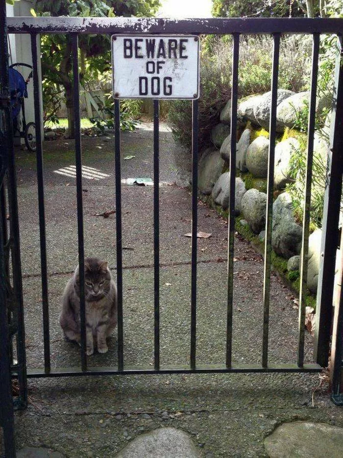 Picdump 690 - #18 