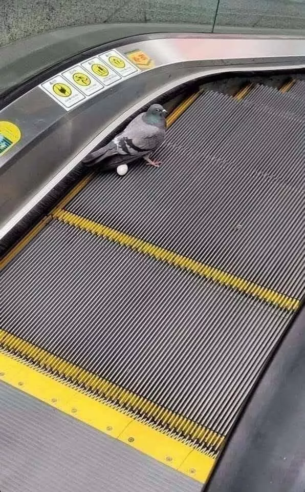 Picdump 690 - #23 
