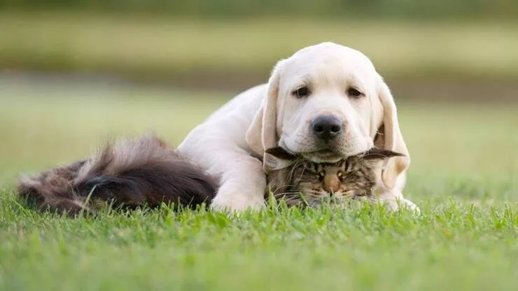Picdump 690 - #34 