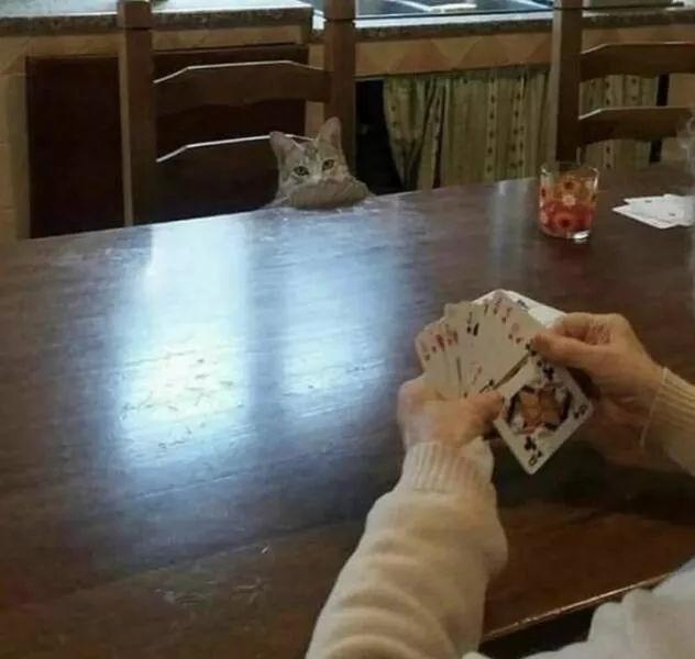 Picdump 690 - #4 