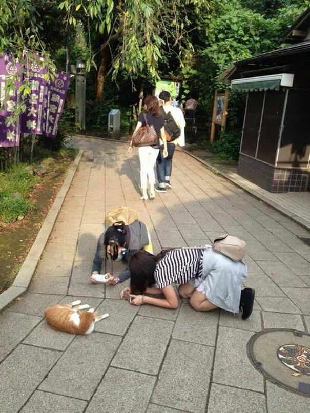 Picdump 690 - #52 