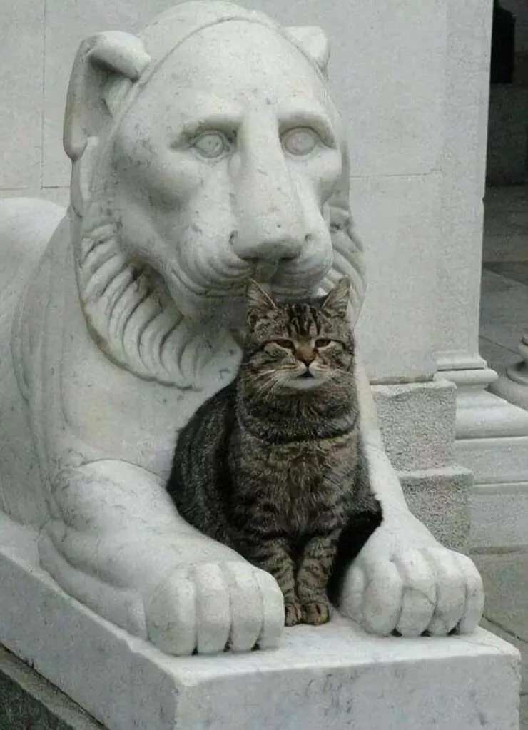 Picdump 690 - #7 