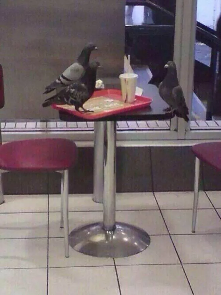 Picdump 690 - #9 