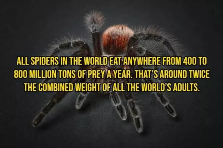 Some facts about animals - #13 