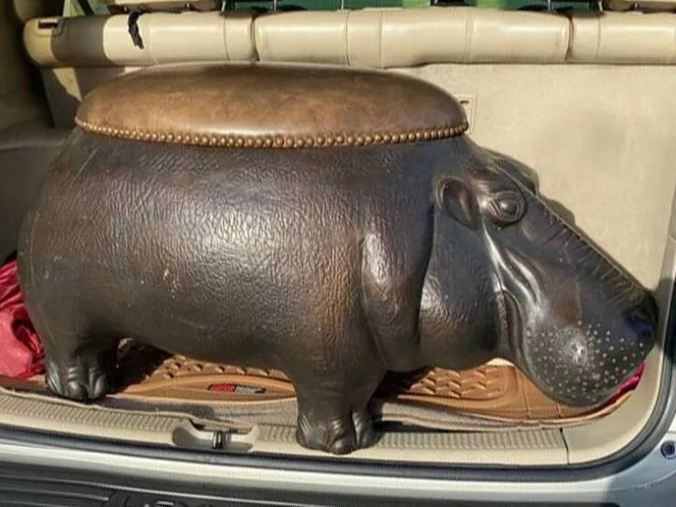 Thrift store treasures - #9 