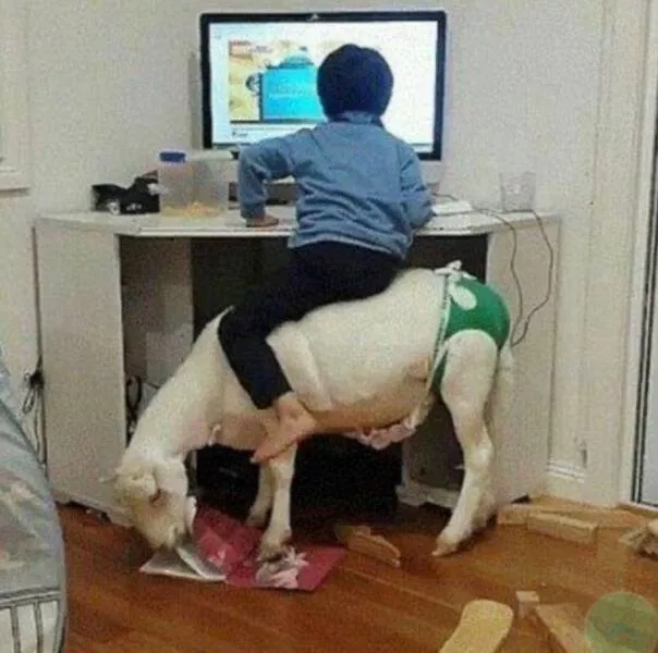 Picdump 691 - #27 