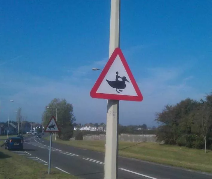 Picdump 691 - #43 