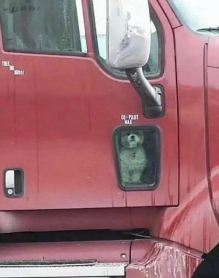 Picdump 692 - #41 