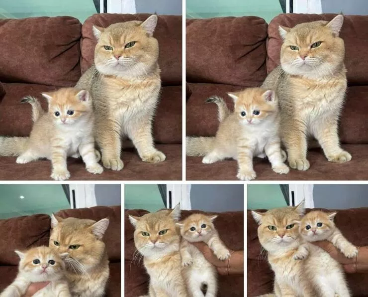 Picdump 692 - #54 