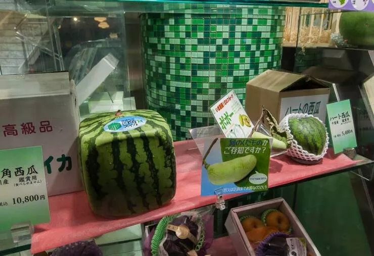 Picdump 692 - #9 
