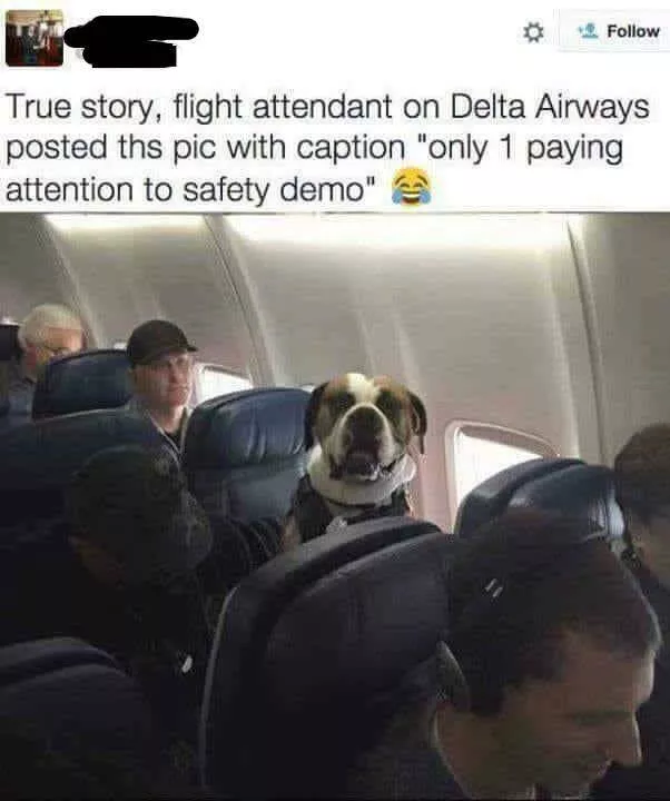 Picdump 693 - #13 