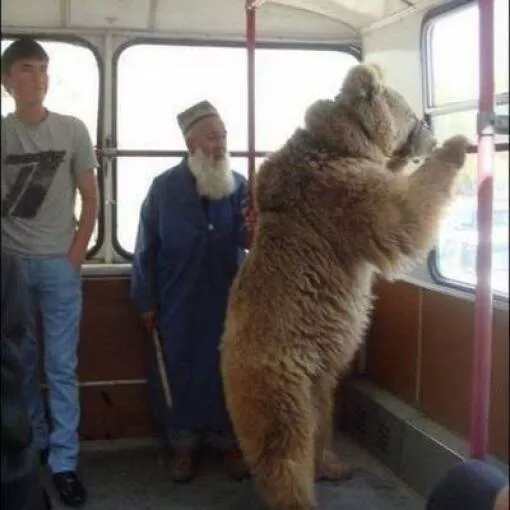 Picdump 693 - #38 